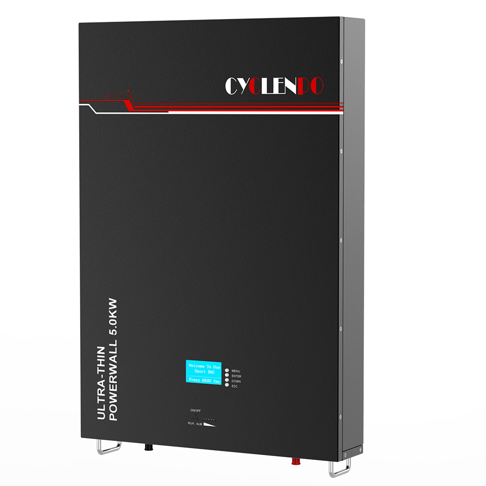 48v 100ah wall mounted battery