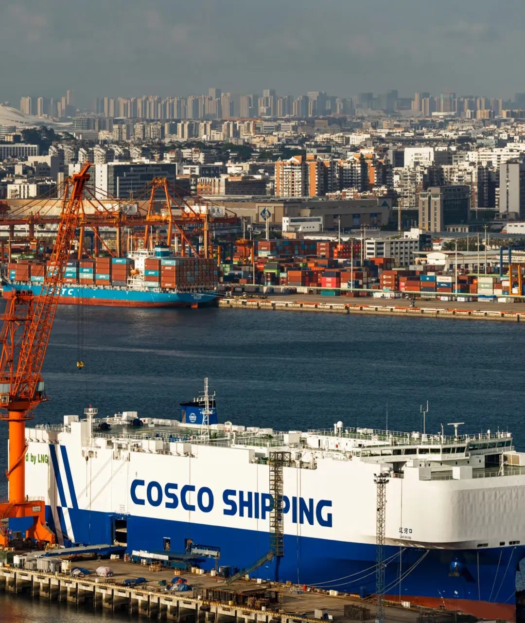 The analysis of clothing exports in the first quarter has been released, and the latest tariff adjustments will have a dual effect in the near future