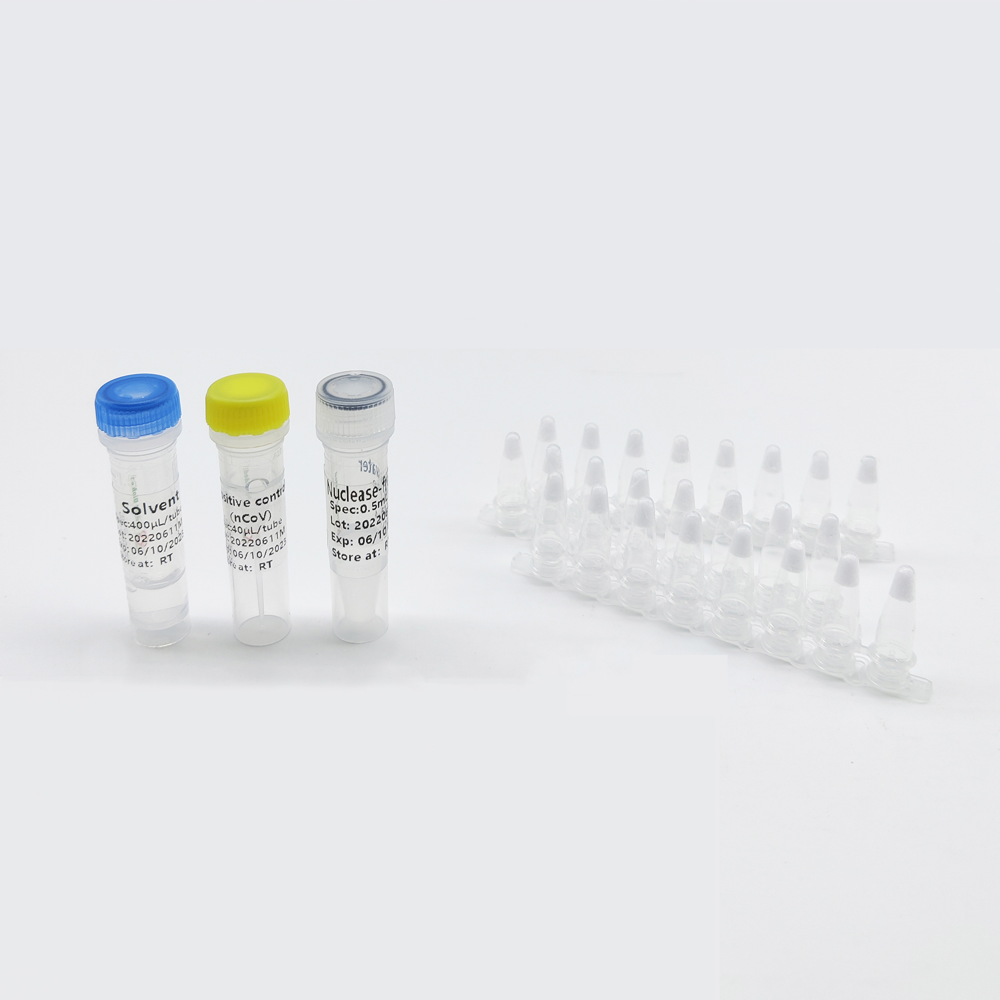 Monkeypox Virus Detection Kit (F-PCR)