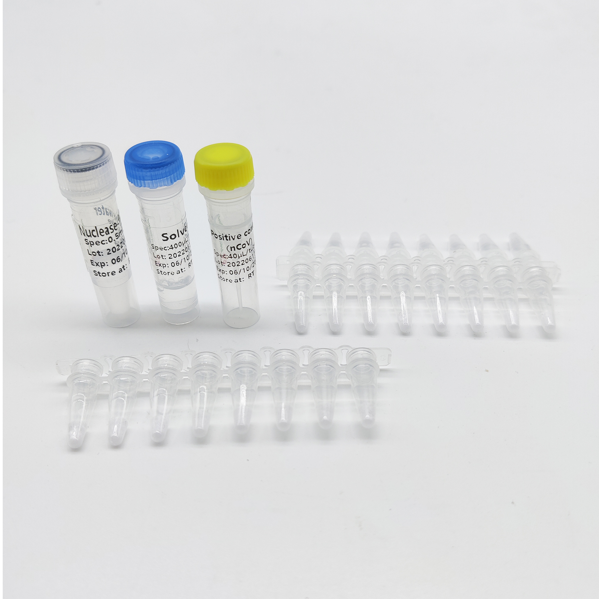 Monkeypox Virus Detection Kit (F-PCR)