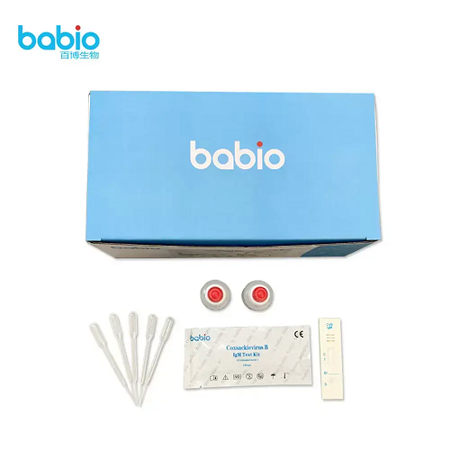 Rapid Detection of Coxsackievirus B IgM Antibodies with BABIO Test Kit