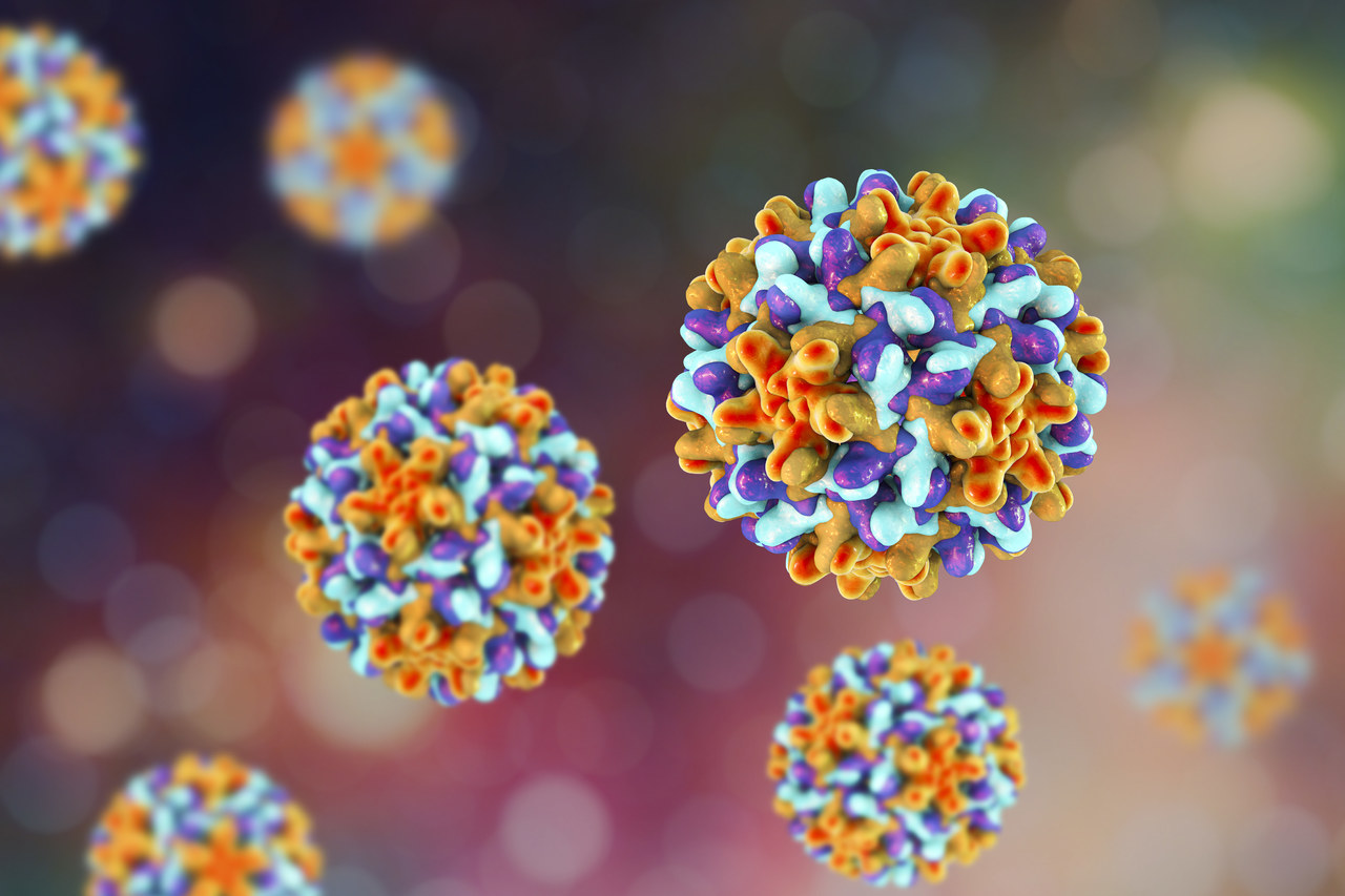 Rapid Detection of Coxsackievirus B IgM Antibodies with BABIO Test Kit