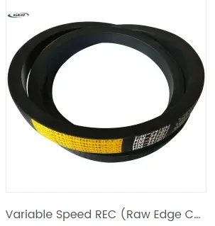 Variable Speed REC (Raw Edge Cogged)