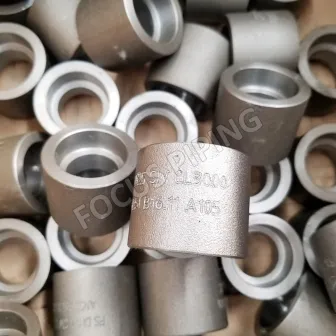 Flanges & Forged Fittings