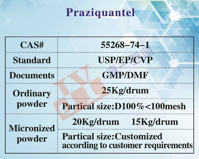 What Does Praziquantel Treat