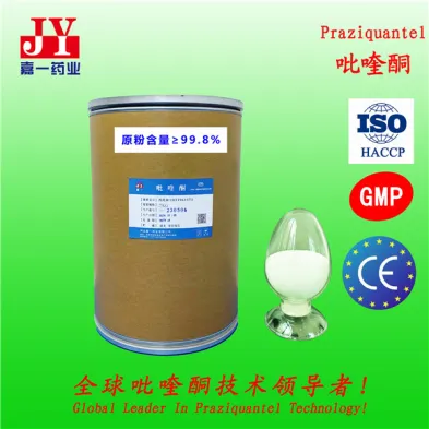 Praziquantel Micropowder