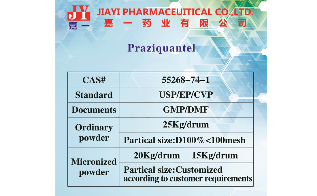 Praziquantel Usp Wholesale