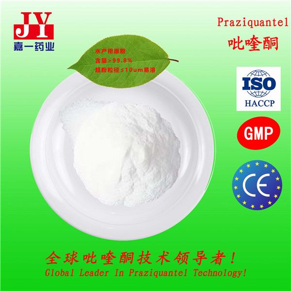 Praziquantel USP Wholesale