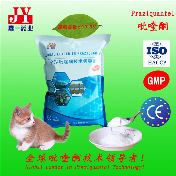 Praziquantel For Veterinary