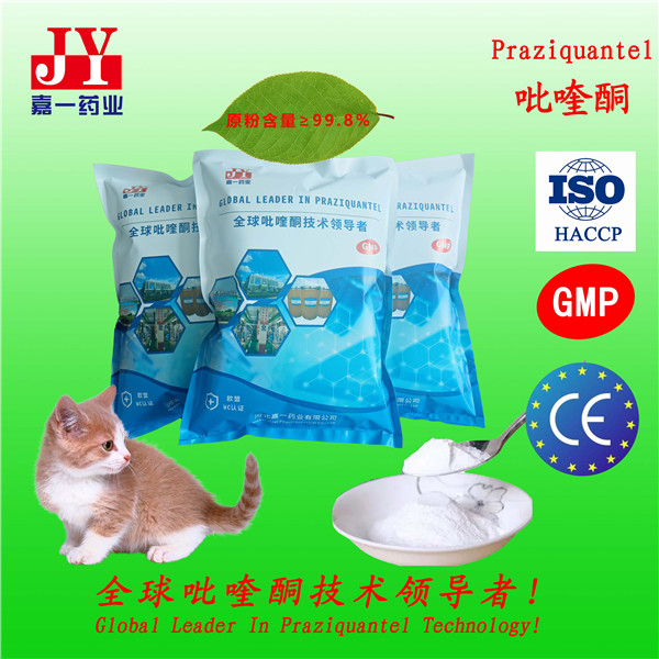 Praziquantel CAS#55268-74-1