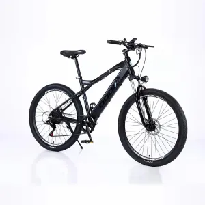 Electric Bicycle FA-EM011
