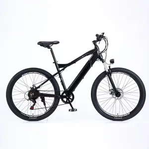 Electric Bicycle FA-EM011