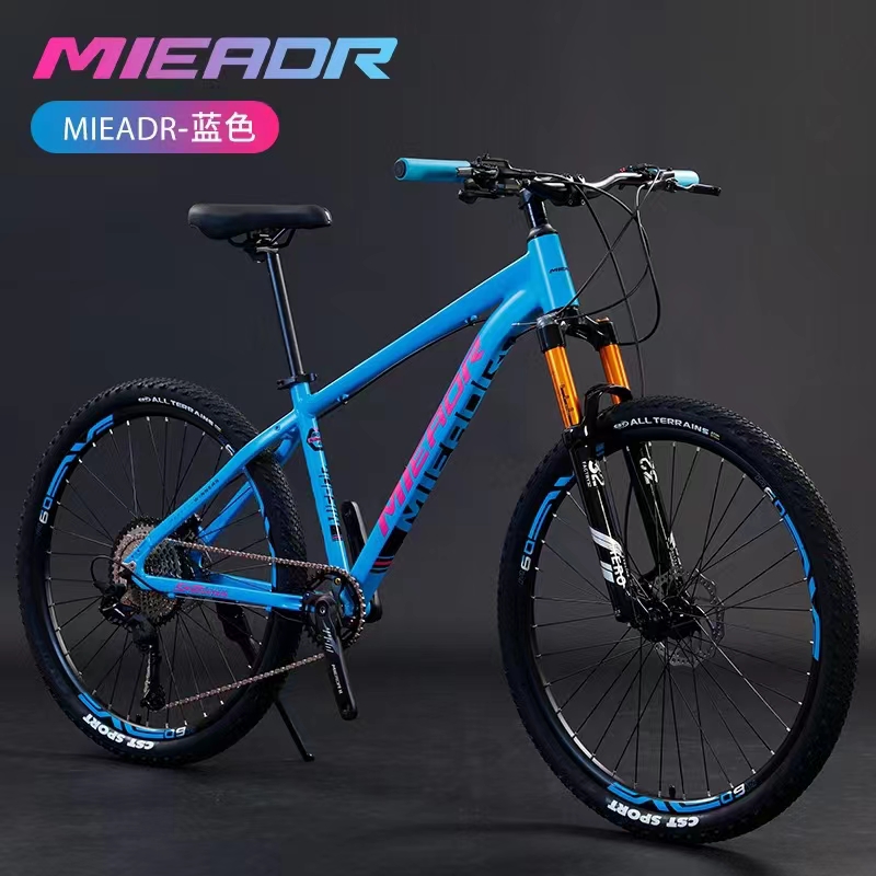 11 speed mountain bike