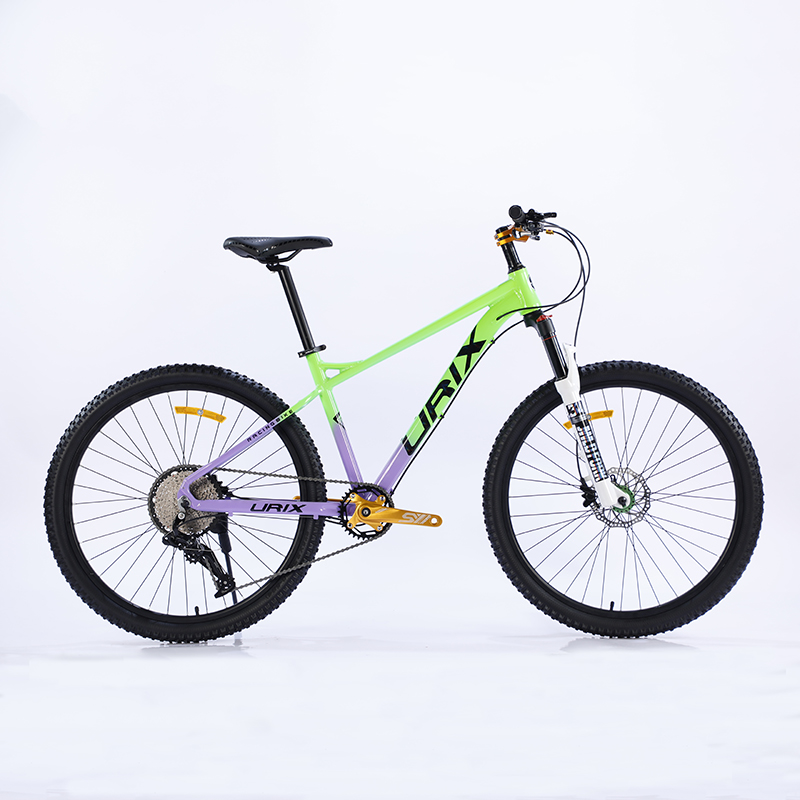 aluminum alloy bike,aluminum alloy frame