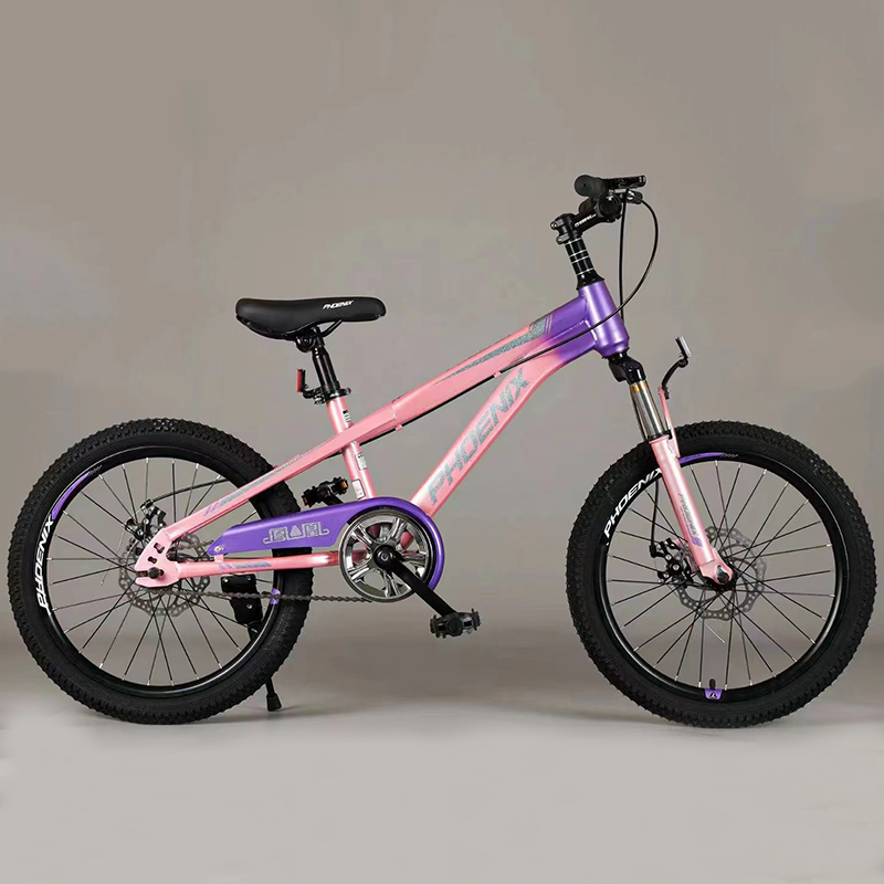 paint bicycle,professional bike painting