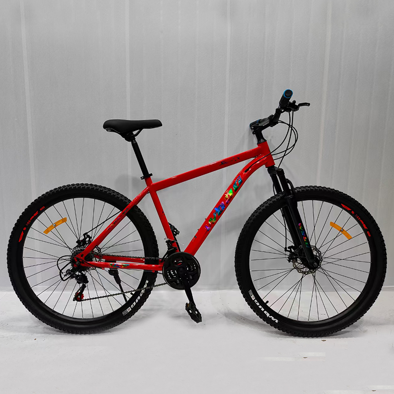 21-speeds-big-size-steel-bike-large-frame-bike-big-size-bike