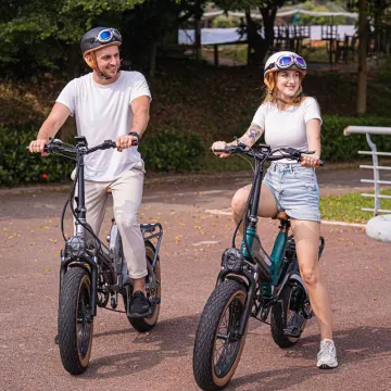 New Electric Bike with Magnesium Alloy Frame