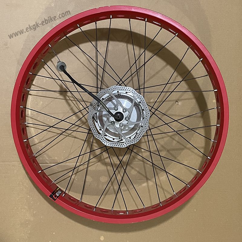 Spoke wheel rim, electric bike rim with motor export