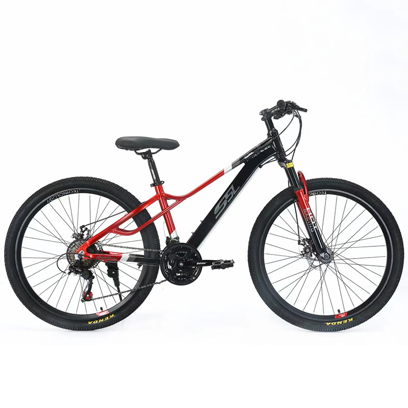 New Model 26 Inch Bicycle