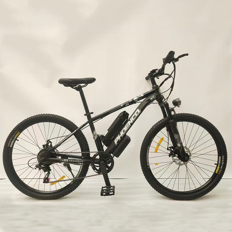 Promotion Model Steel Frame Electric Bike