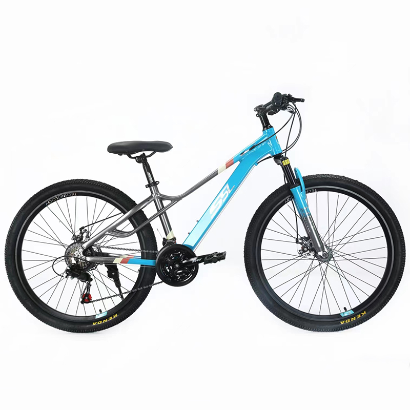 New Model 26 Inch Bicycle