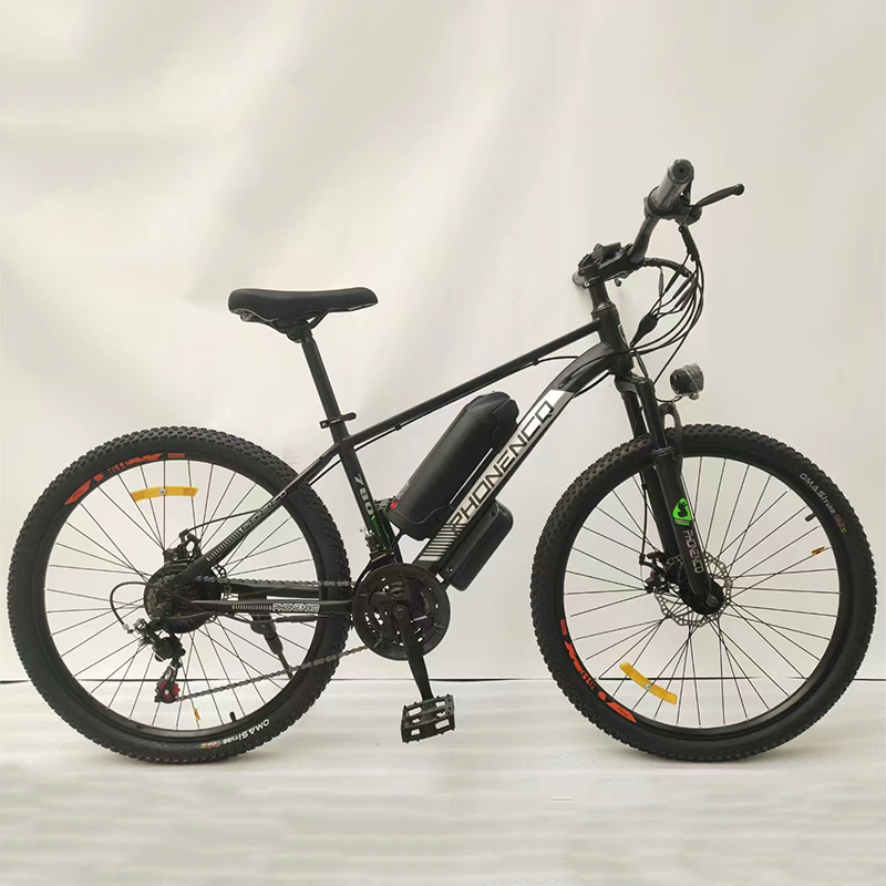 Promotion Model Steel Frame Electric Bike