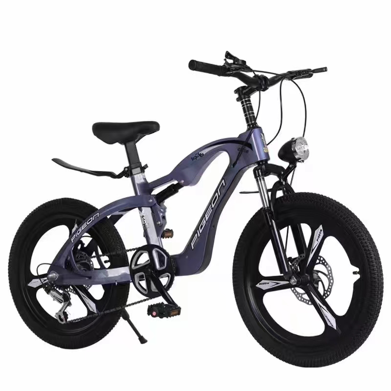 18/20/22 Inch Magnesium Alloy Bike