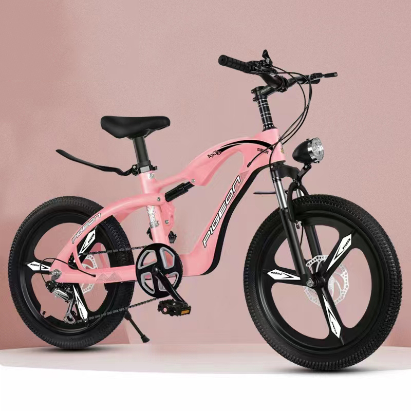 18/20/22 Inch Magnesium Alloy Bike