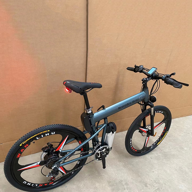 OEM, ODM Brand Foldable Electric Bike