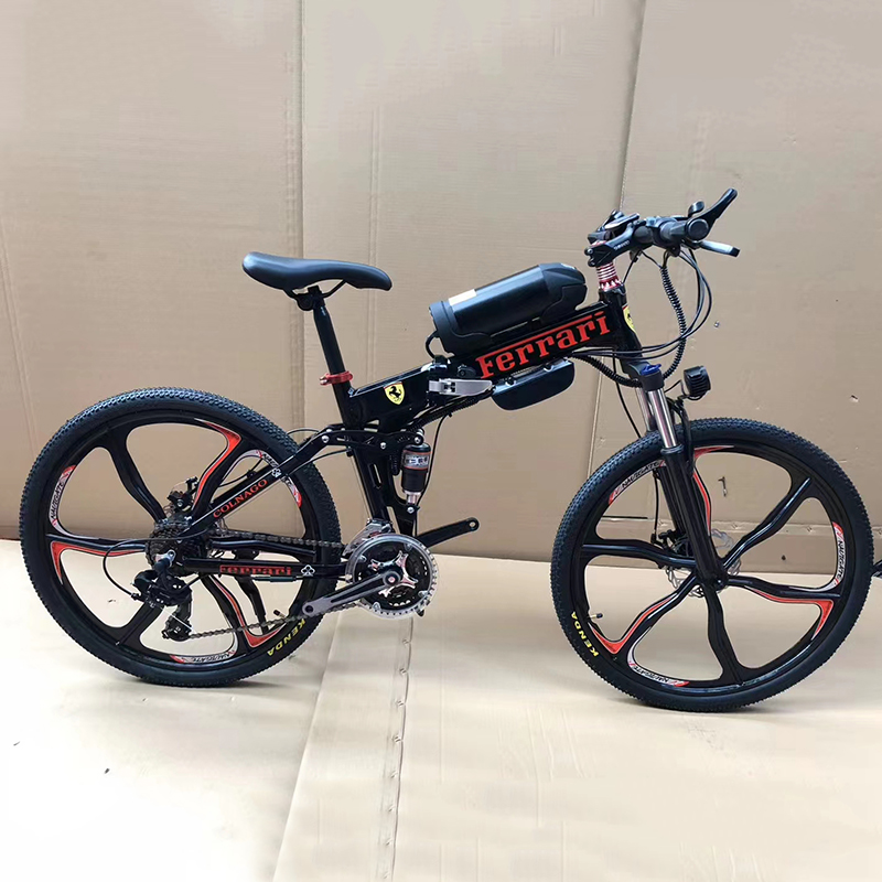 OEM, ODM Brand Electric Bicycle