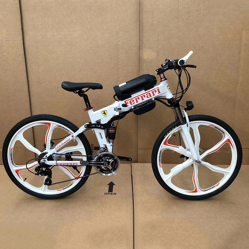 OEM, ODM Brand Electric Bicycle