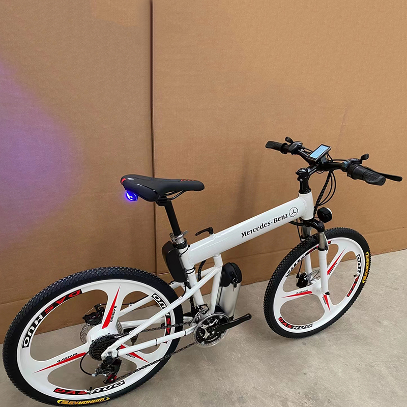 OEM, ODM Brand Foldable Electric Bike