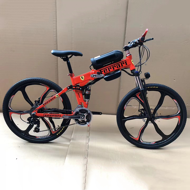 OEM, ODM Brand Electric Bicycle