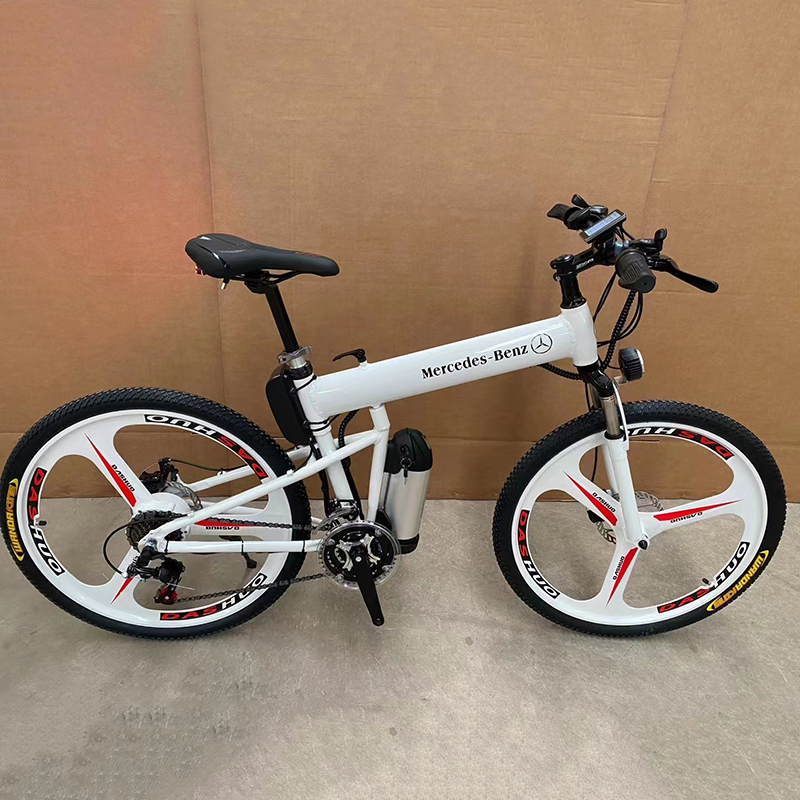 OEM, ODM Brand Foldable Electric Bike