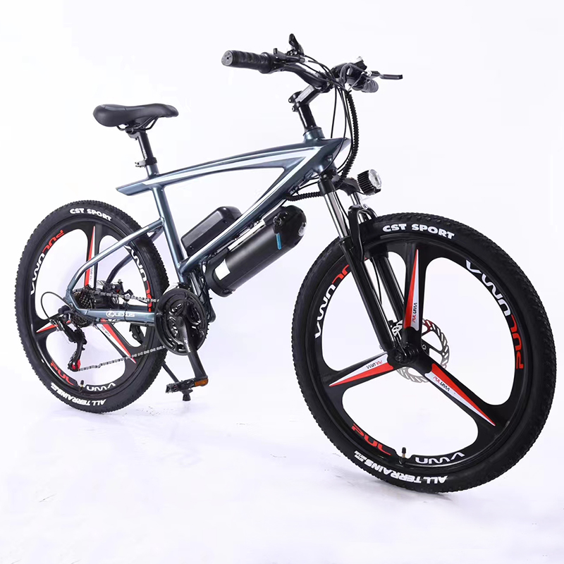 OEM, ODM Brand Electric Bike