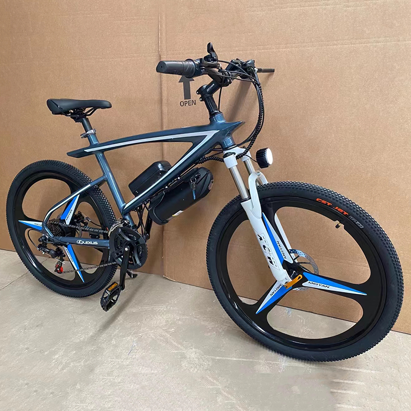 OEM, ODM Brand Electric Bike