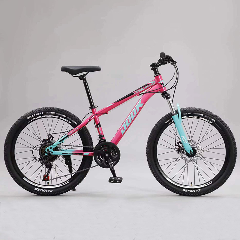 Colorful Mountain Bike, 24/26x2.125 Inch