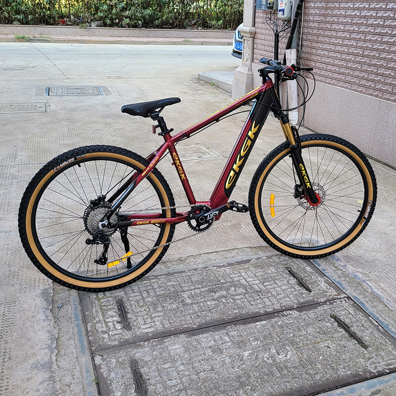 EKGK Mountain Bike or OEM