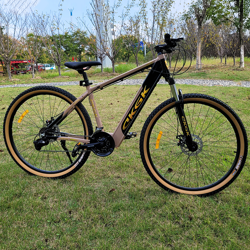 EKGK Mountain Bike or OEM