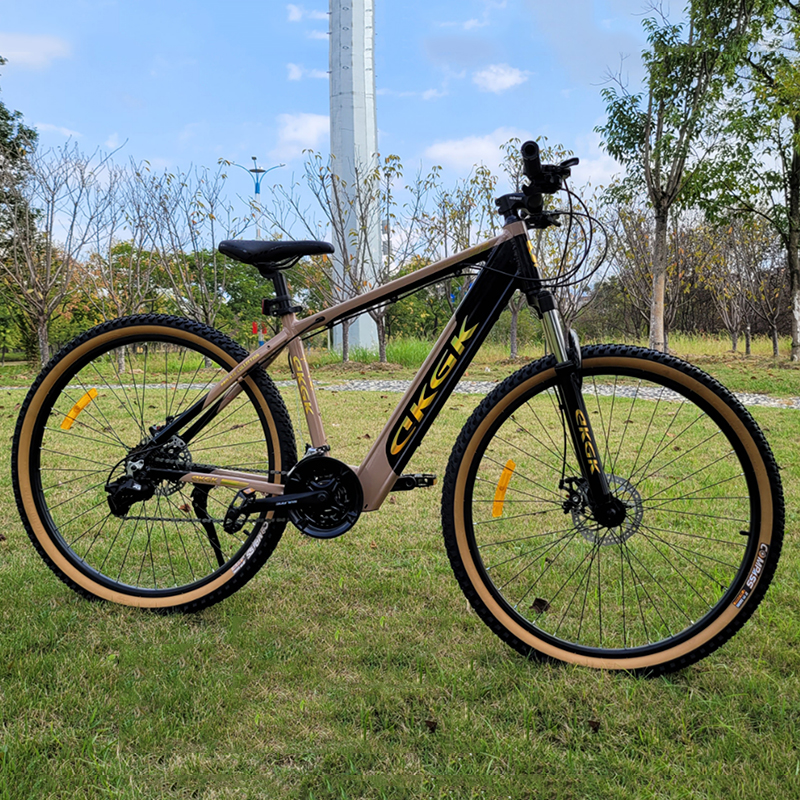 EKGK Mountain Bike or OEM