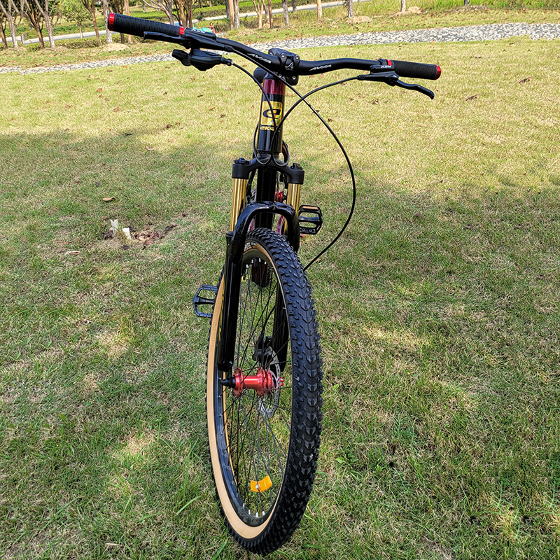 Ekgk Mountain Electric Bike