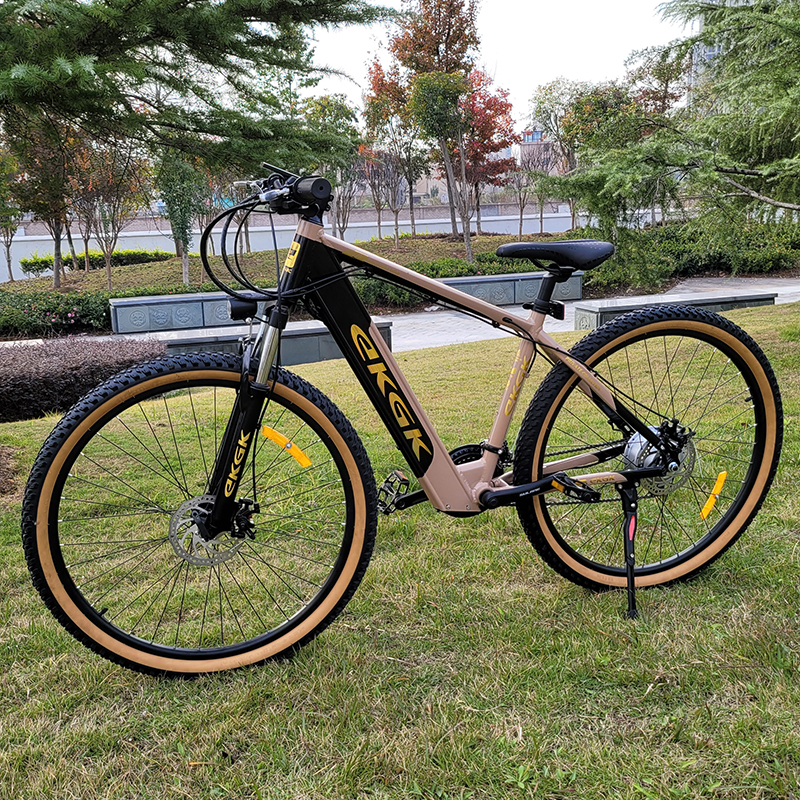 Ekgk Mountain Electric Bike