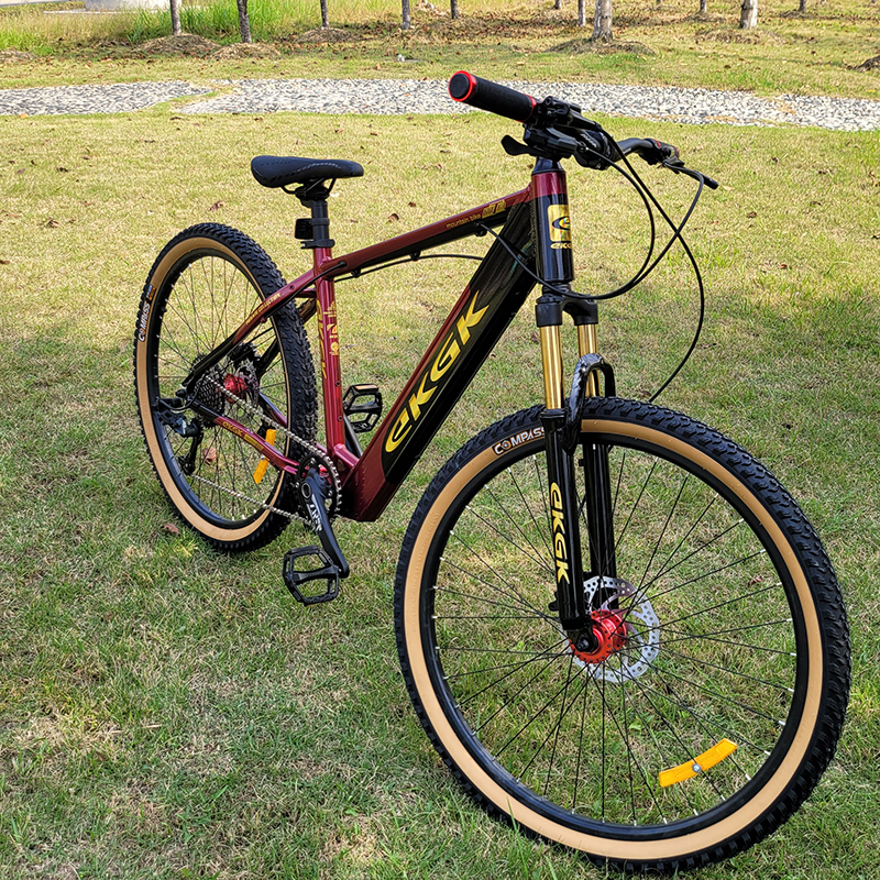 EKGK Mountain Bike or OEM