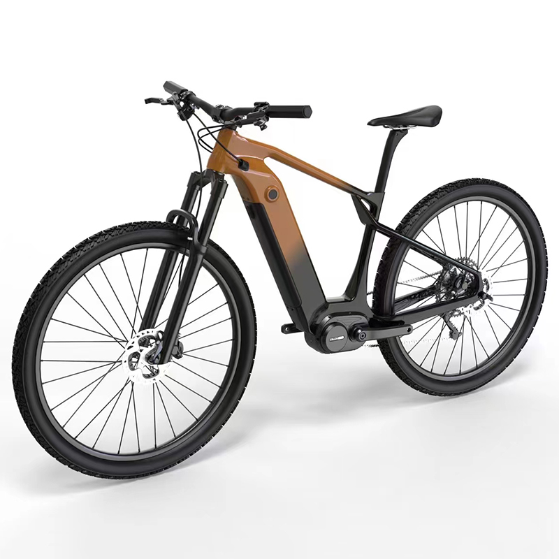 Entertainment, Exercise Electric Bicycle