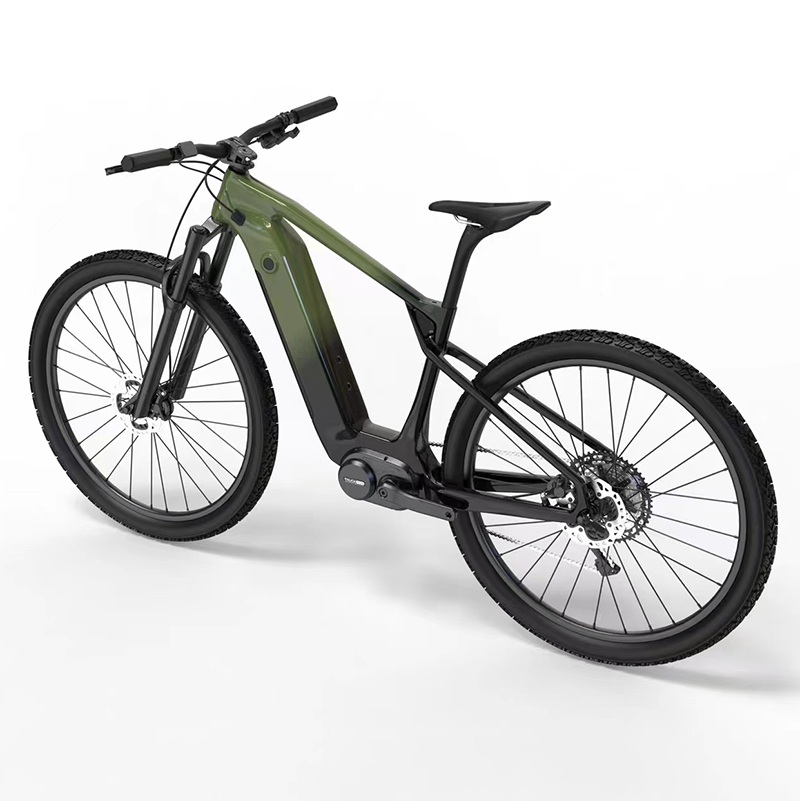 Entertainment, Exercise Electric Bicycle