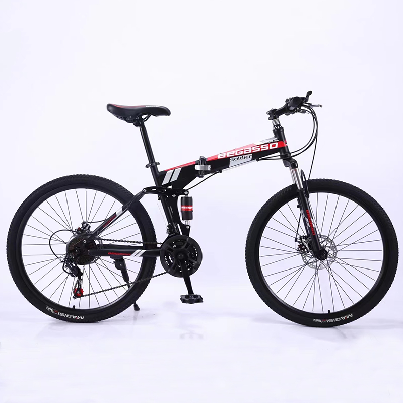 21 Speeds Foldable Bike OEM