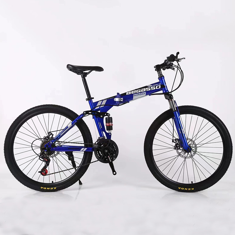 21 Speeds Foldable Bike OEM