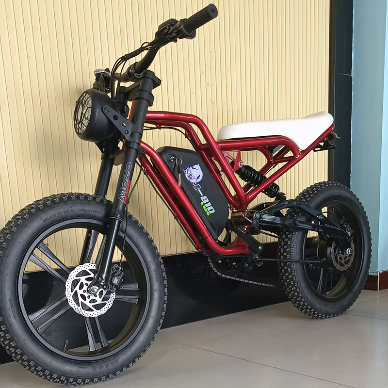 48V 500W Aluminum Alloy Electric Bike