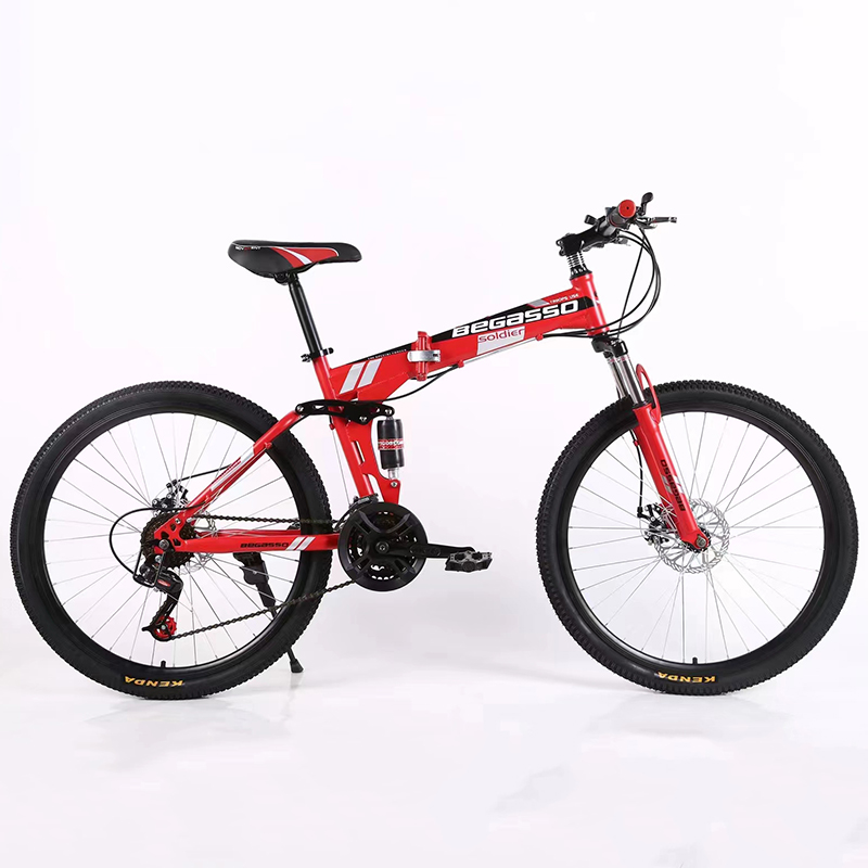 21 Speeds Foldable Bike OEM