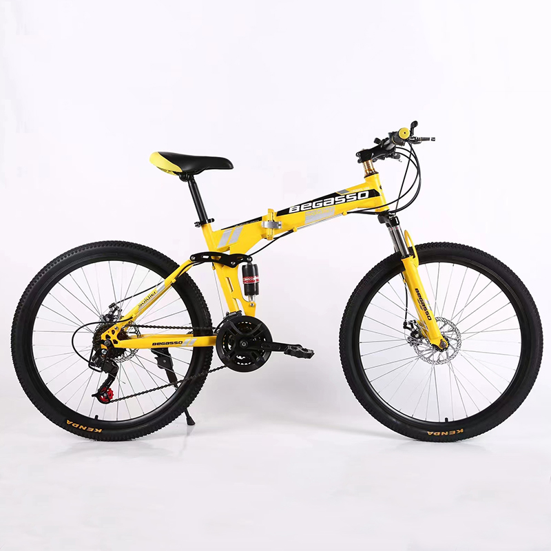 21 Speeds Foldable Bike OEM